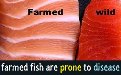 Illustration prone - Image 2