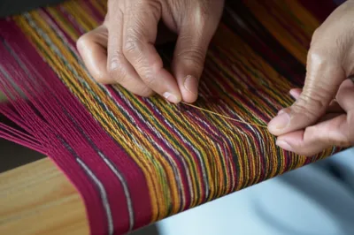 Illustration pickings - Image 1