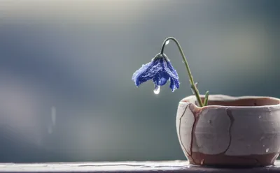 Illustration dump - Image 1