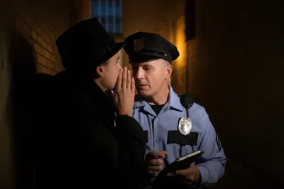 Illustration snouts - Image 1