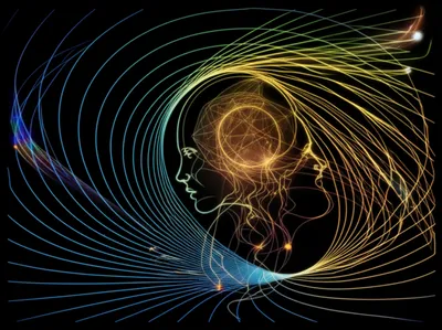 Illustration human - Image 1