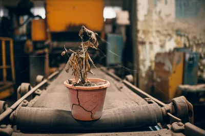 Illustration sluggish - Image 1