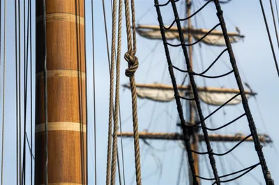 Illustration tongue - Image 1