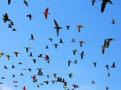 Illustration flyers - Image 1