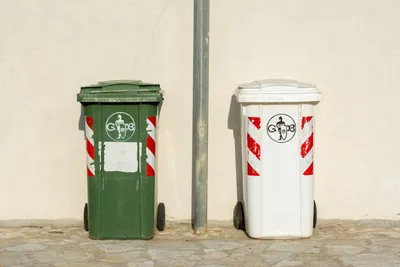 Illustration bins - Image 2