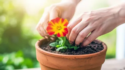 Illustration potter - Image 1