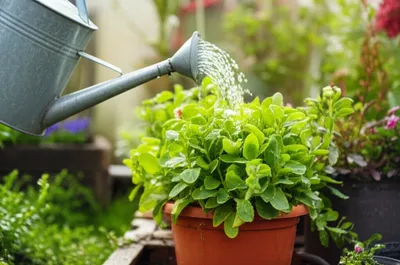 Illustration cans - Image 1