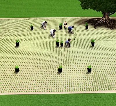 Illustration institutionalization