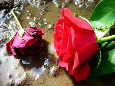 Illustration unfairer - Image 1