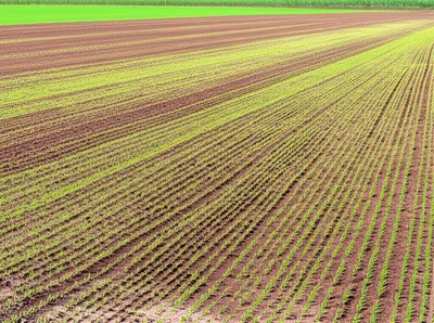 Illustration arable - Image 1