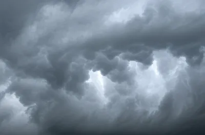 Illustration lowered - Image 1