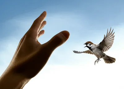 Illustration detain - Image 1