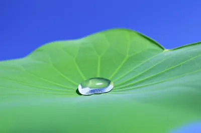 Illustration impervious