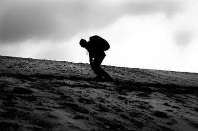 Illustration plodded - Image 1