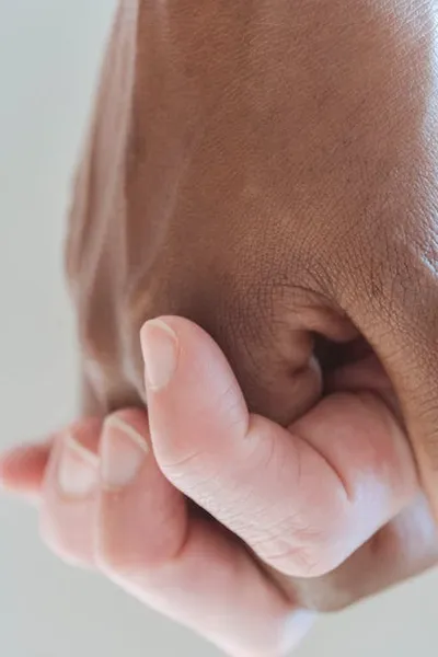 Illustration joins - Image 2