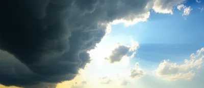 Illustration abate - Image 1