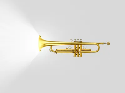 Illustration blazed - Image 1