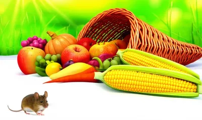 Illustration gratuitous