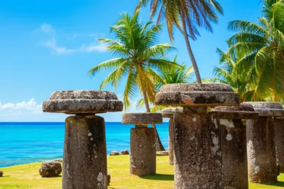 Illustration lattes - Image 1