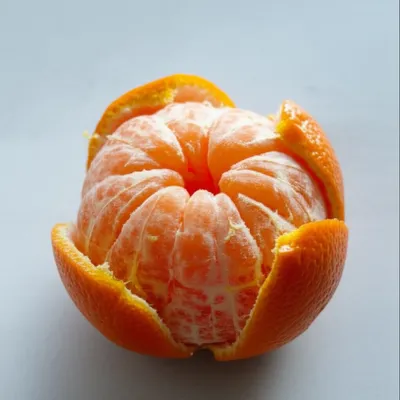 Illustration skinned - Image 1