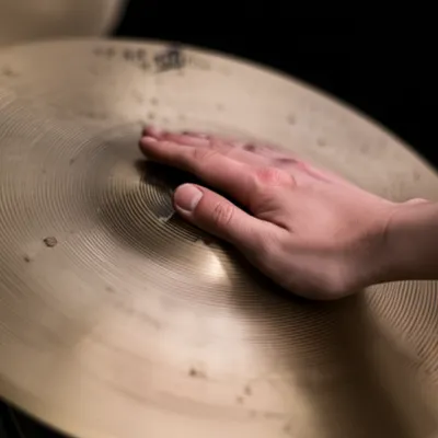 Illustration muffle - Image 1