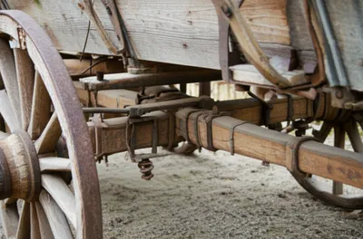 Illustration nibs - Image 1