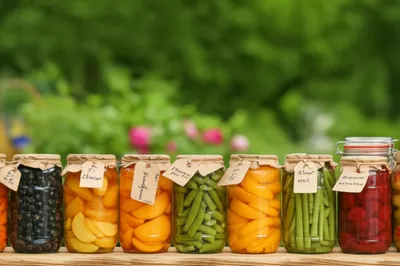 Illustration potted - Image 1