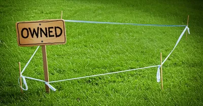 Illustration territory - Image 1