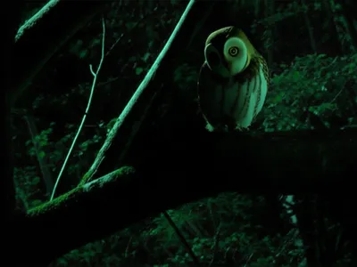 Illustration alertness - Image 2