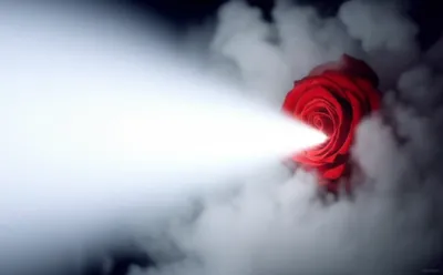 Illustration clearer - Image 1