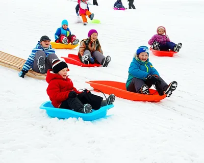 Illustration sledge - Image 1