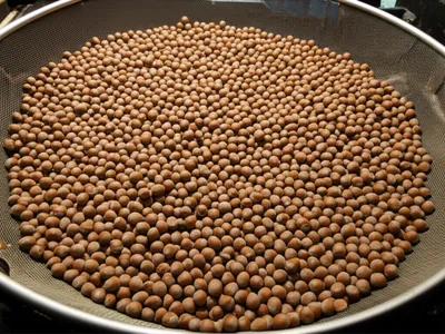 Illustration prickles - Image 1