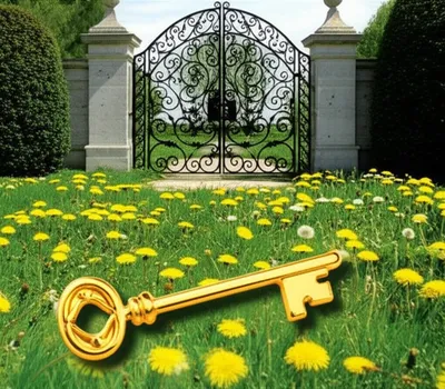 Illustration propositions - Image 1