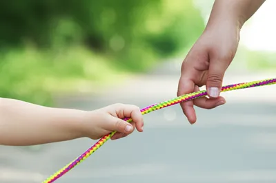 Illustration rein - Image 1