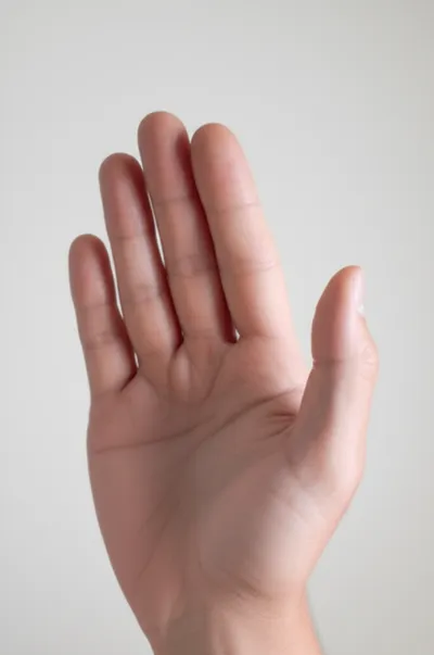 Illustration cuff - Image 1