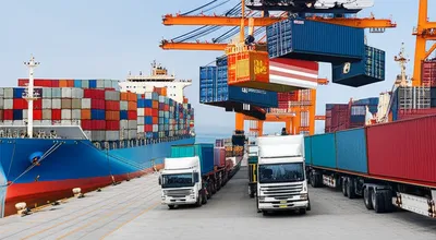 Illustration imports - Image 1