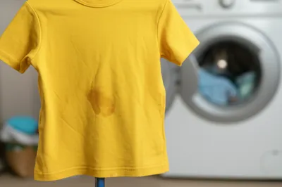 Illustration soil - Image 1