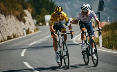 Illustration domestiques