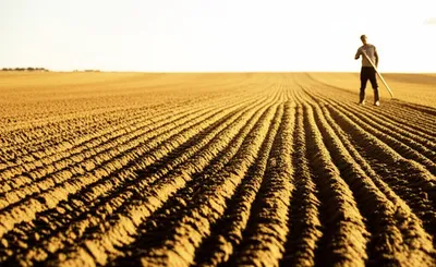 Illustration tills - Image 1