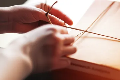 Illustration parcelling - Image 1