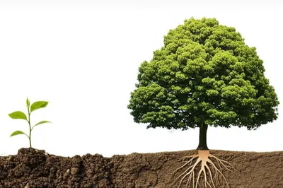 Illustration improve - Image 1