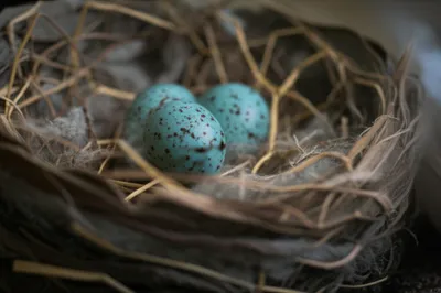 Illustration specked - Image 1