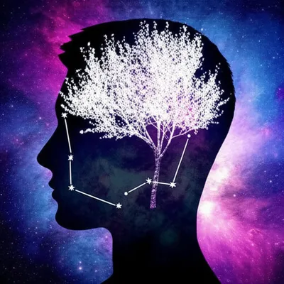 Illustration visualize - Image 1