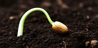 Illustration aborted - Image 2