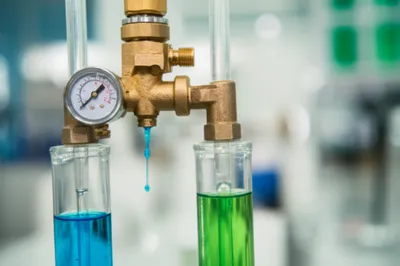 Illustration nipple - Image 1