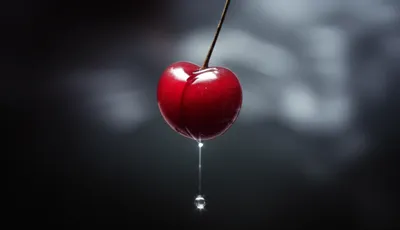 Illustration articles - Image 1