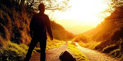 Illustration cusps - Image 1