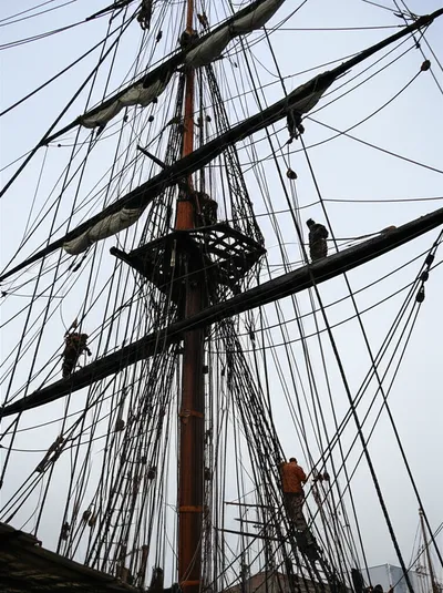 Hình ảnh minh họa rig - Ảnh 1