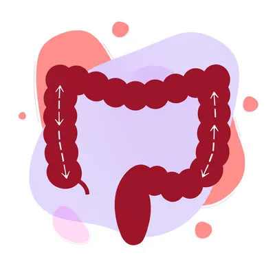 Illustration colonic - Image 1
