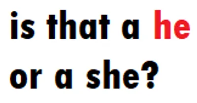 Illustration he - Image 5